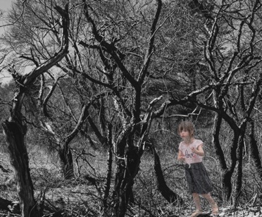 Devastated forest girl.jpg